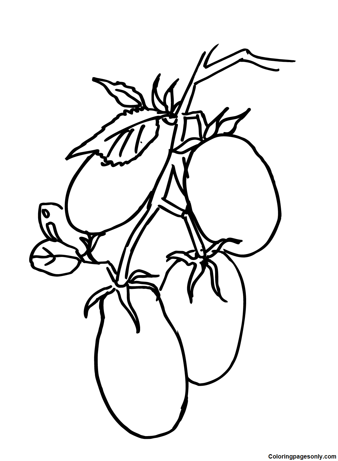 Cherry Tomato Coloring Pages