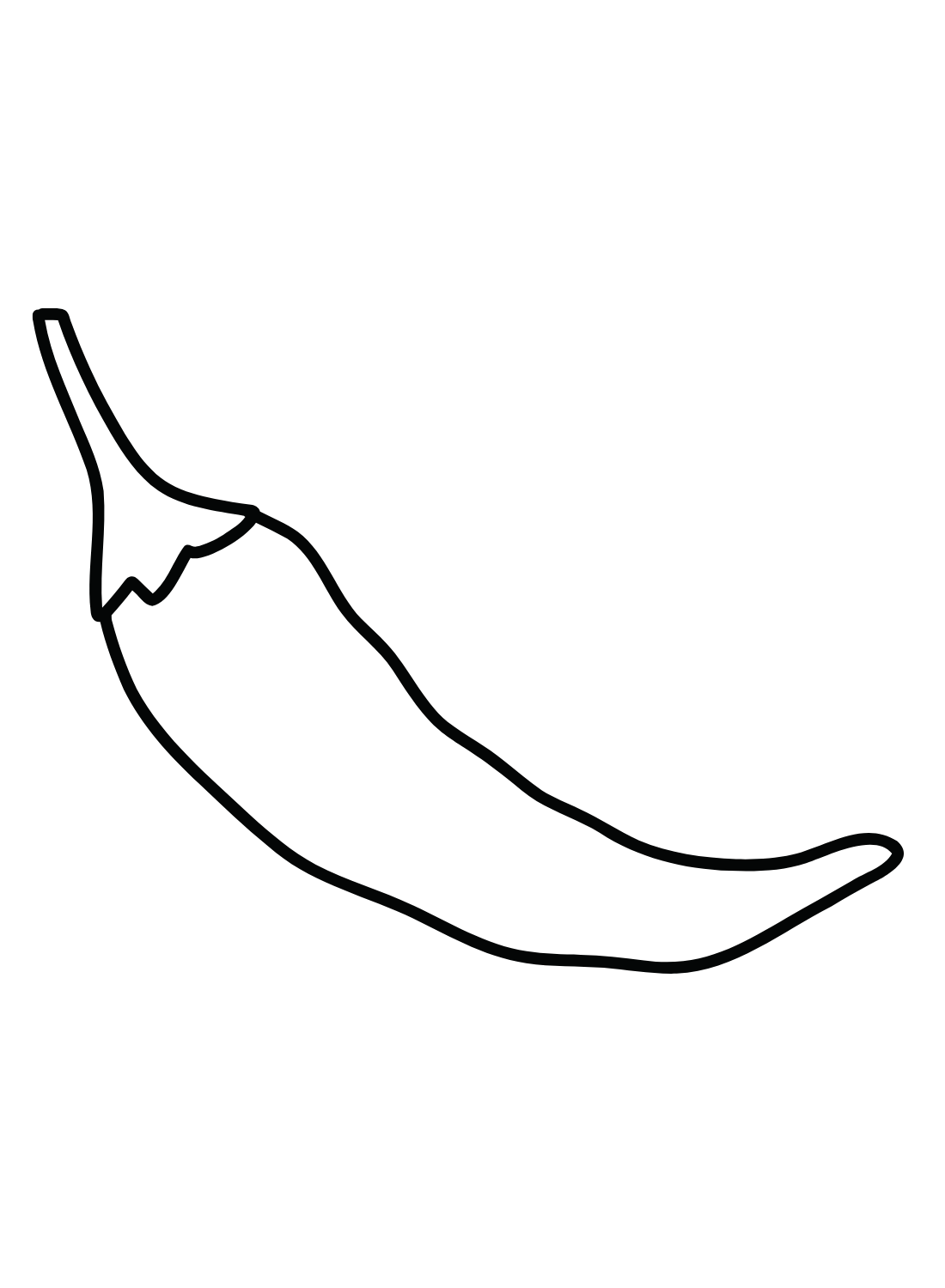 Chili Pepper Drawing from Chili Pepper