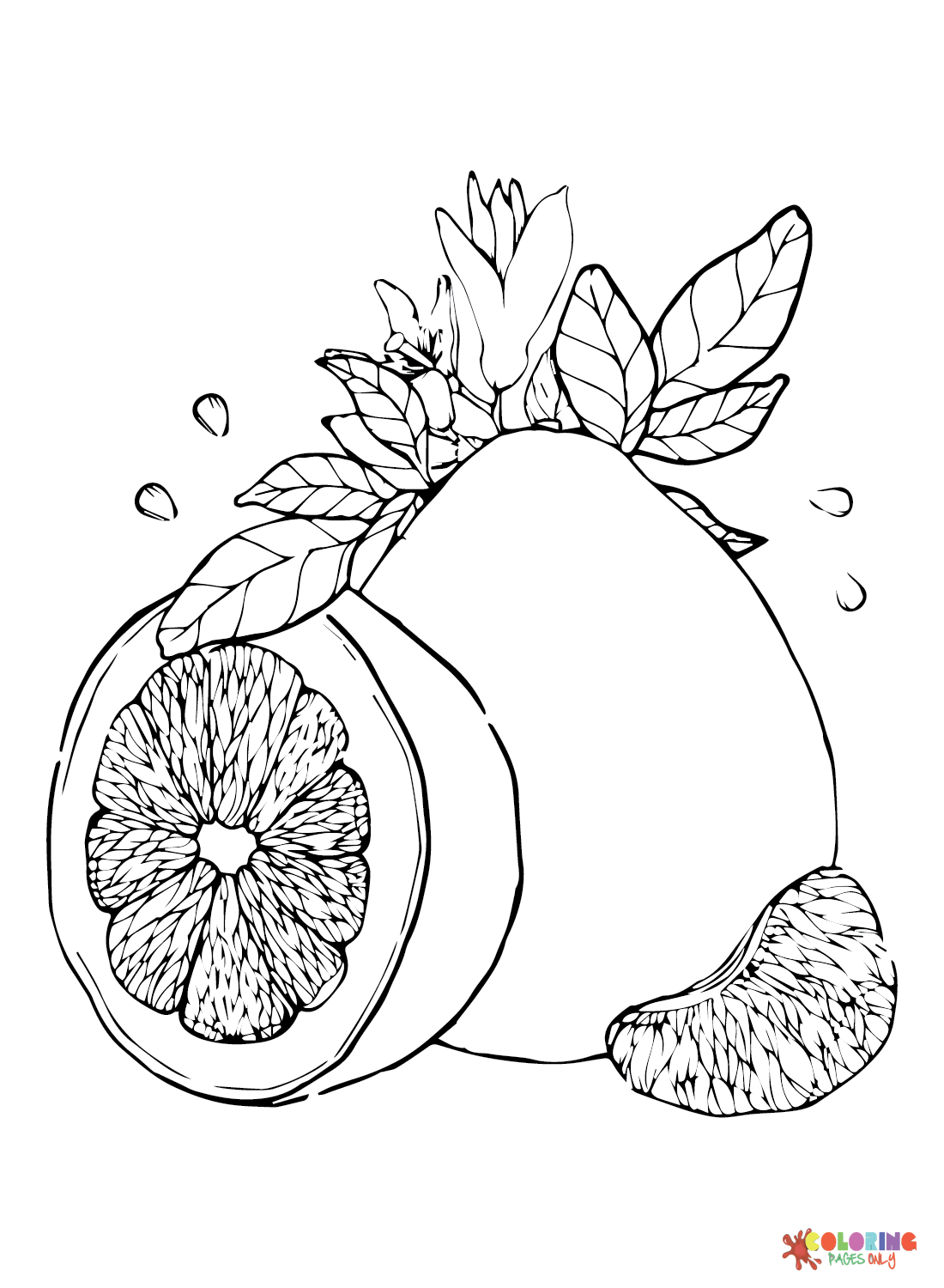 Citrus-fruits Printable Coloring Page