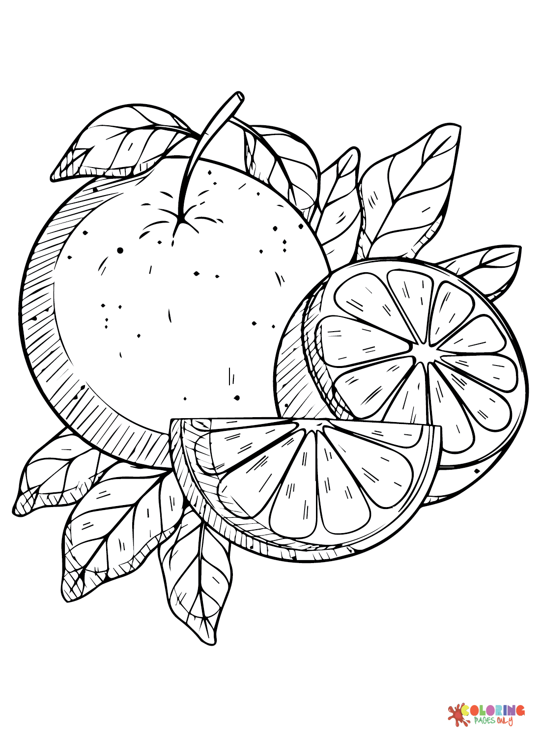 Citrus-fruits for Kids Coloring Page