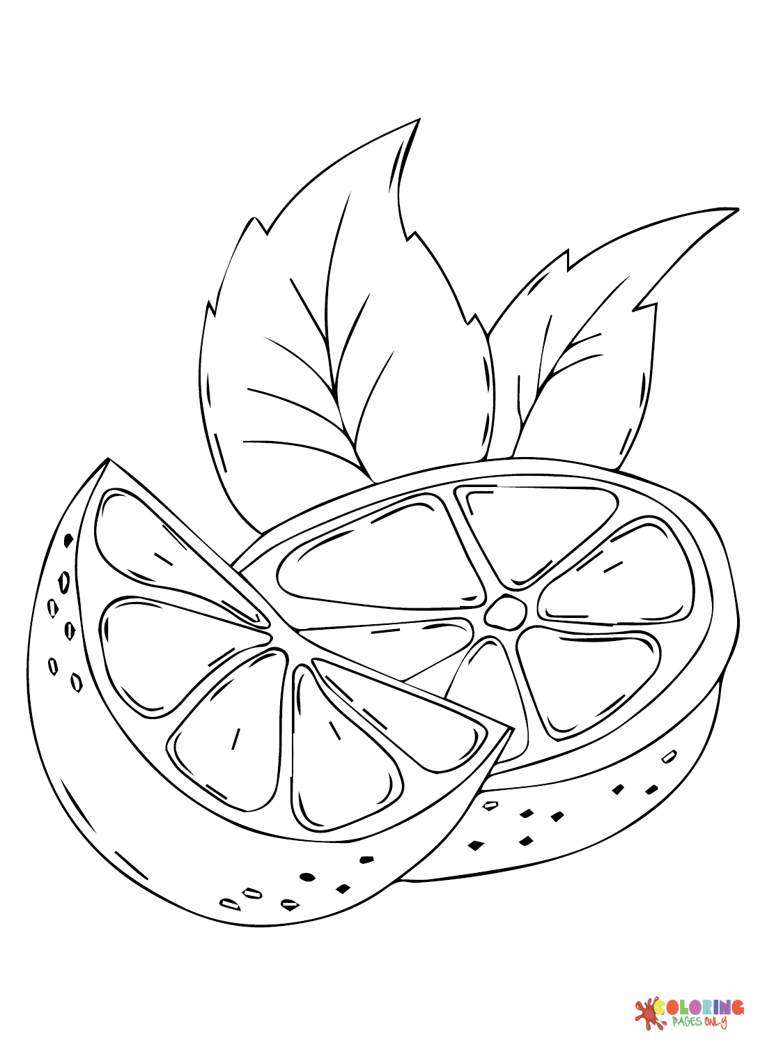 Citrus-fruits to Print Coloring Page