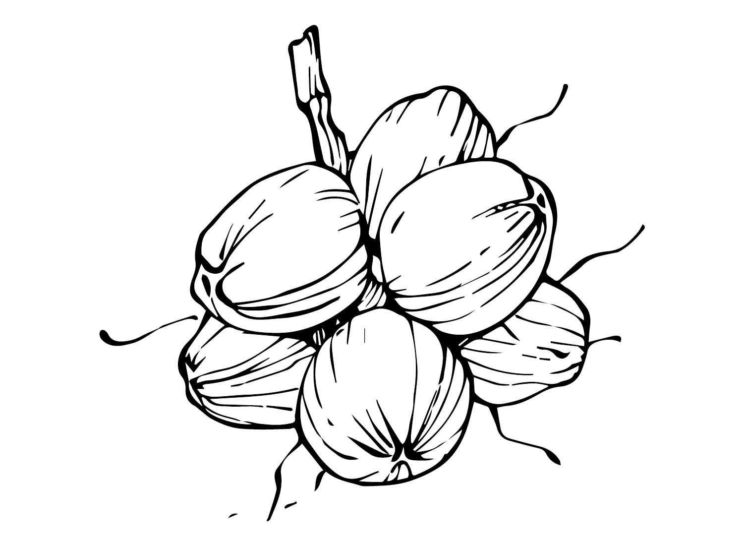 Coconut Chamber Coloring Page