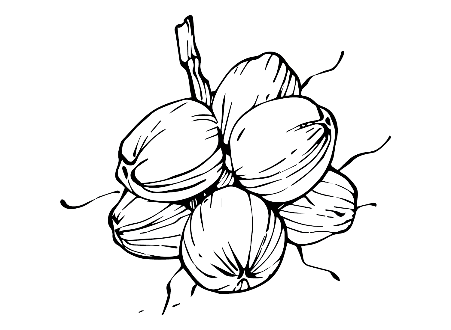Coconut Chamber Coloring Page Free Printable Coloring Pages