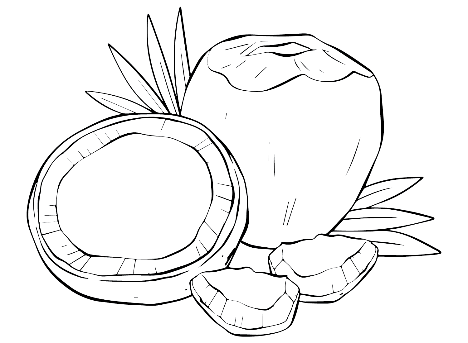 Coconut Drawing Coloring Page