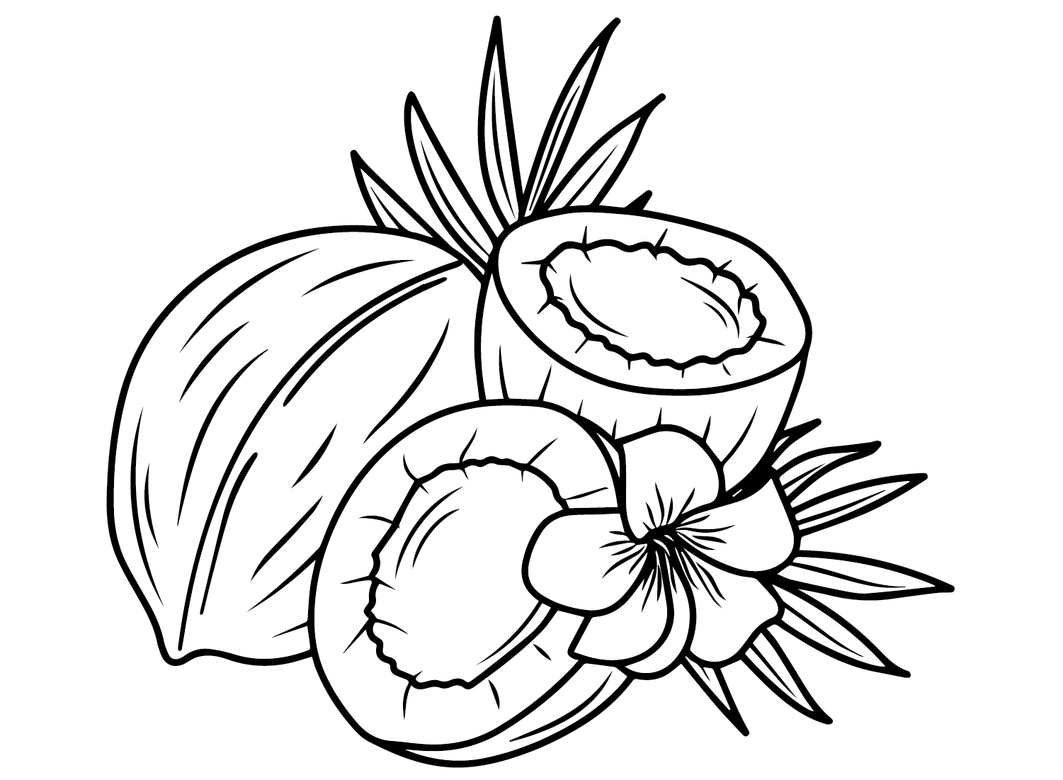 Coconut and Flower Coloring Page
