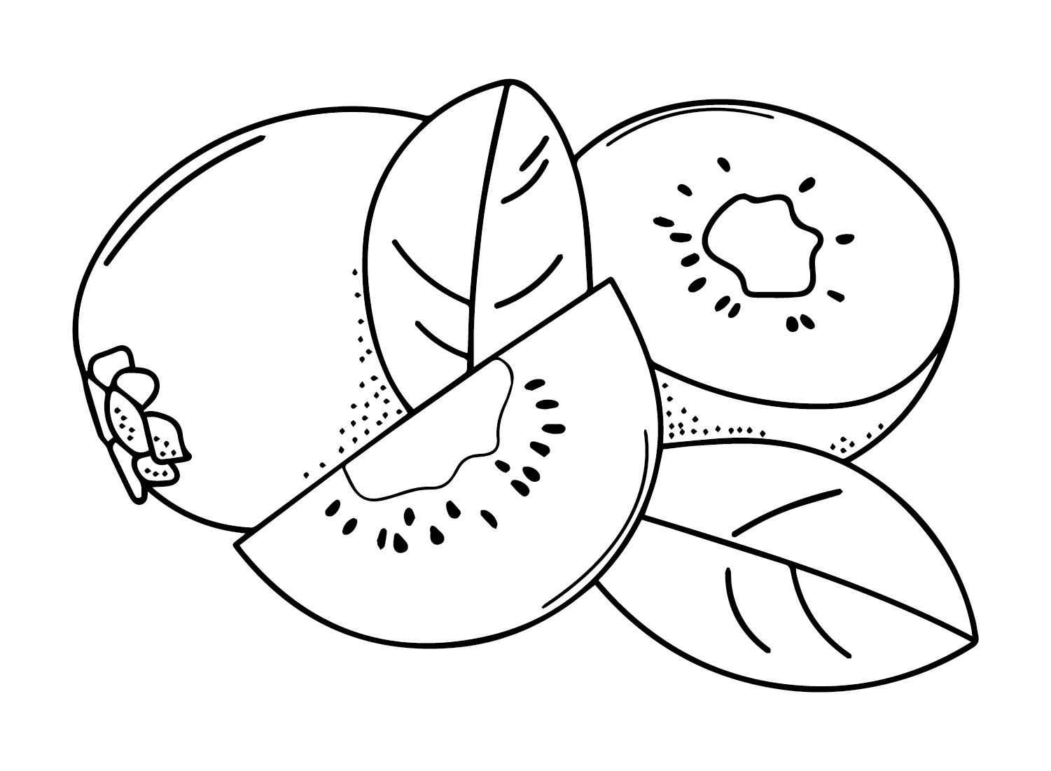 Colorer le kiwi de Kiwi Fruit