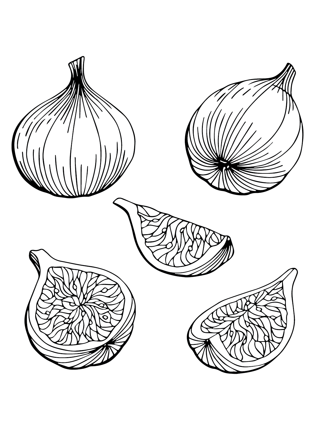 Colored Figs Coloring Page