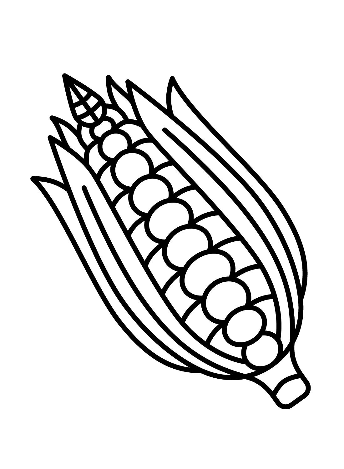Maíz simple de maíz