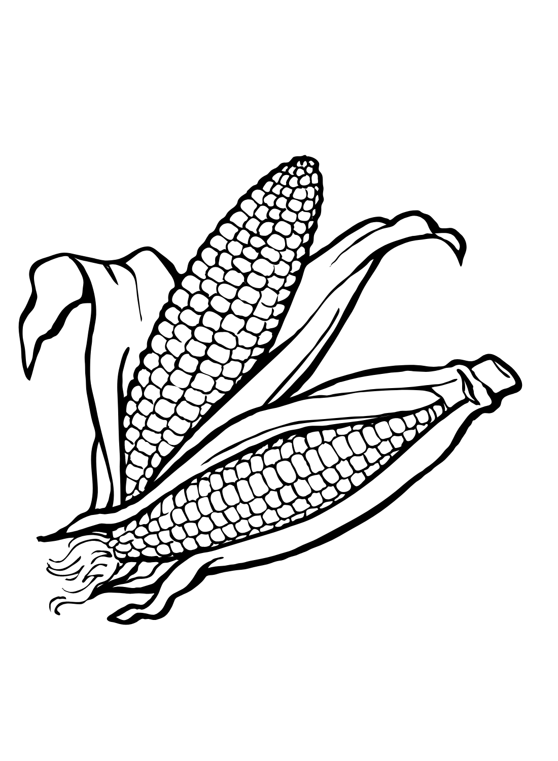 Кукурузный овощ из кукурузы