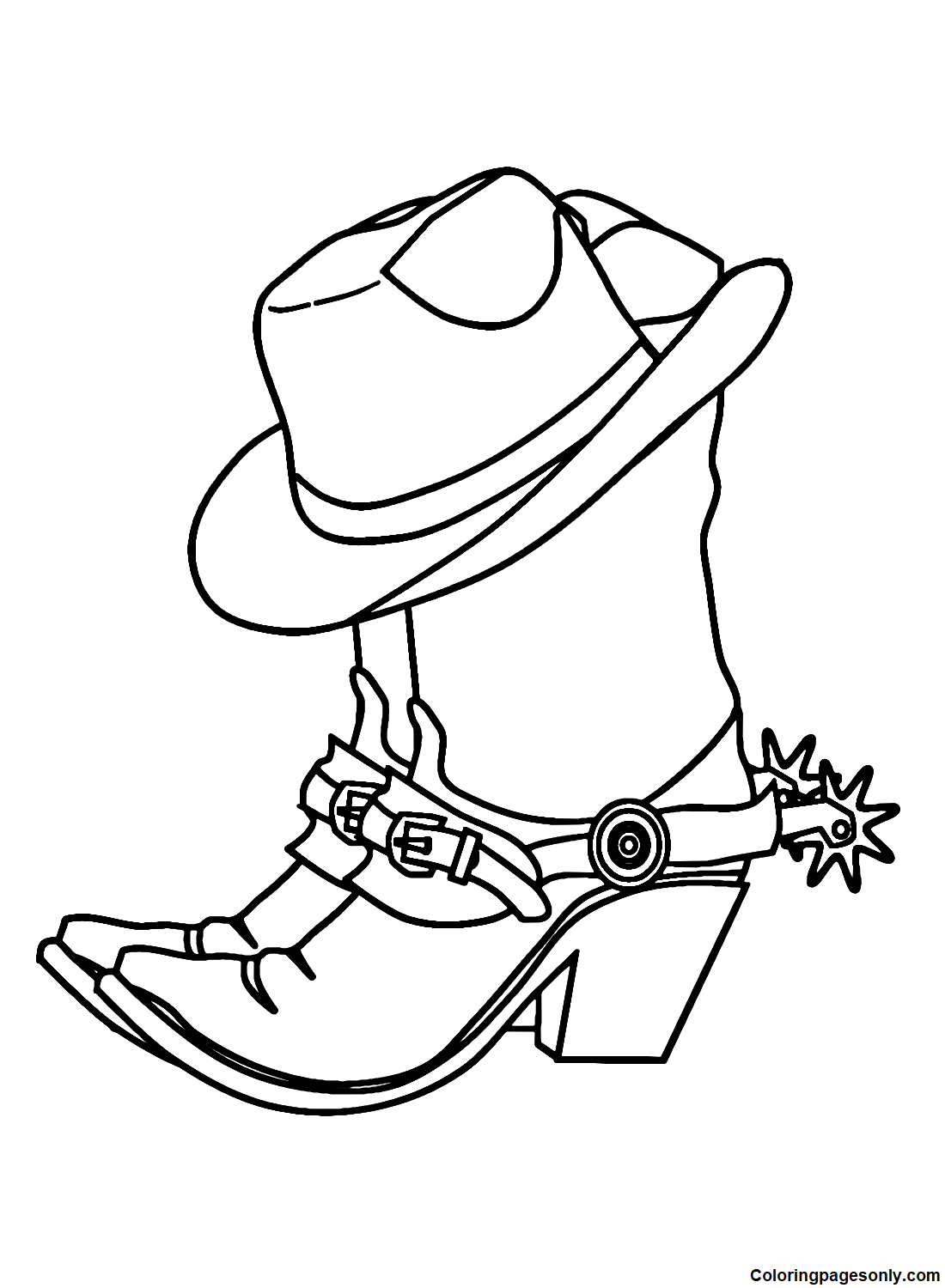 Botas de cowboy e chapéu de botas