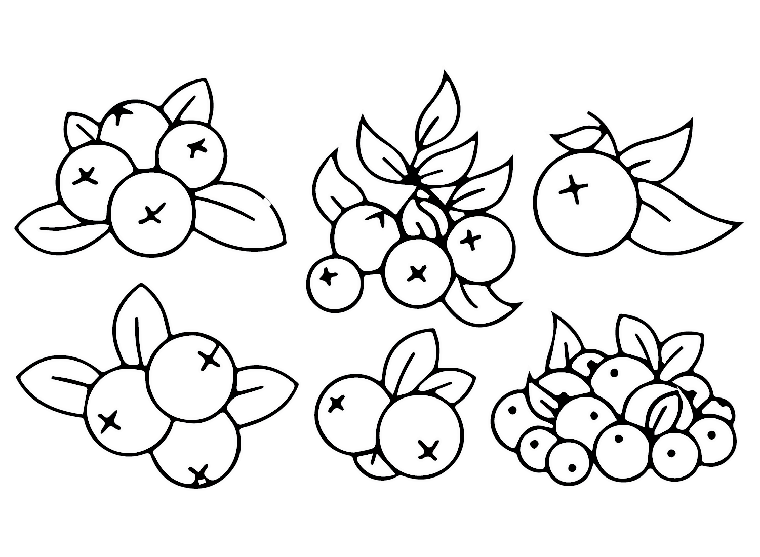 Cranberry Images Coloring Page