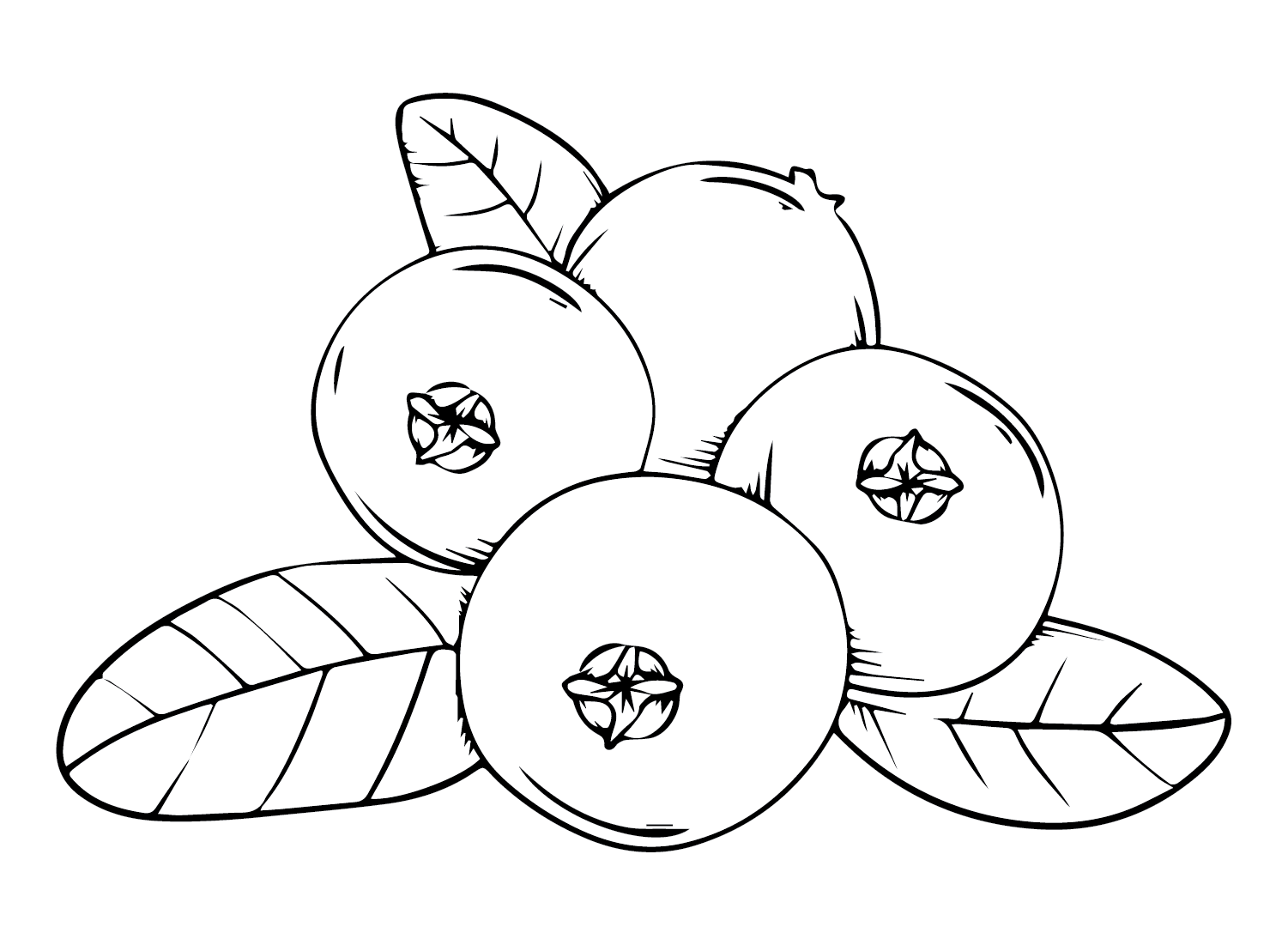 Cranberry Sprite Coloring Page