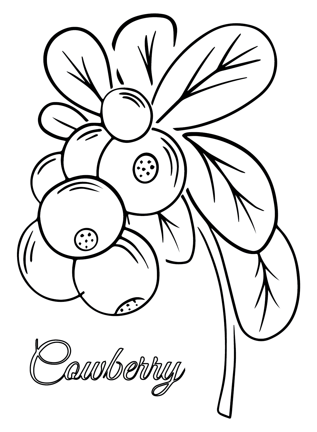 Cranberry color Sheets Coloring Page