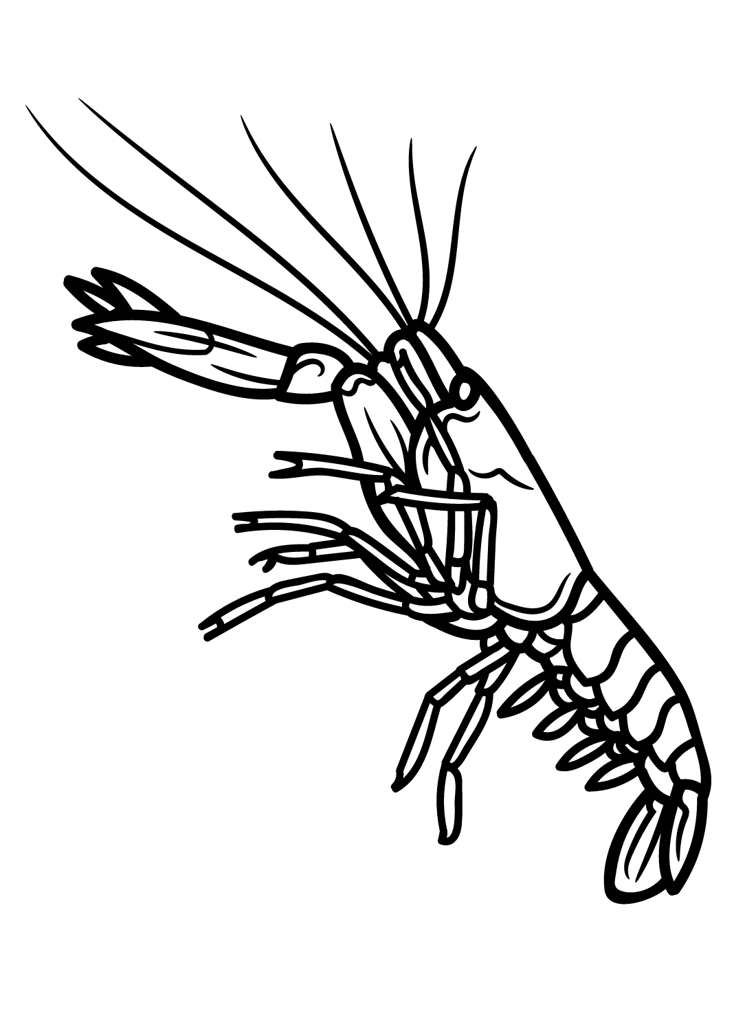 Crawfish Images Coloring Page