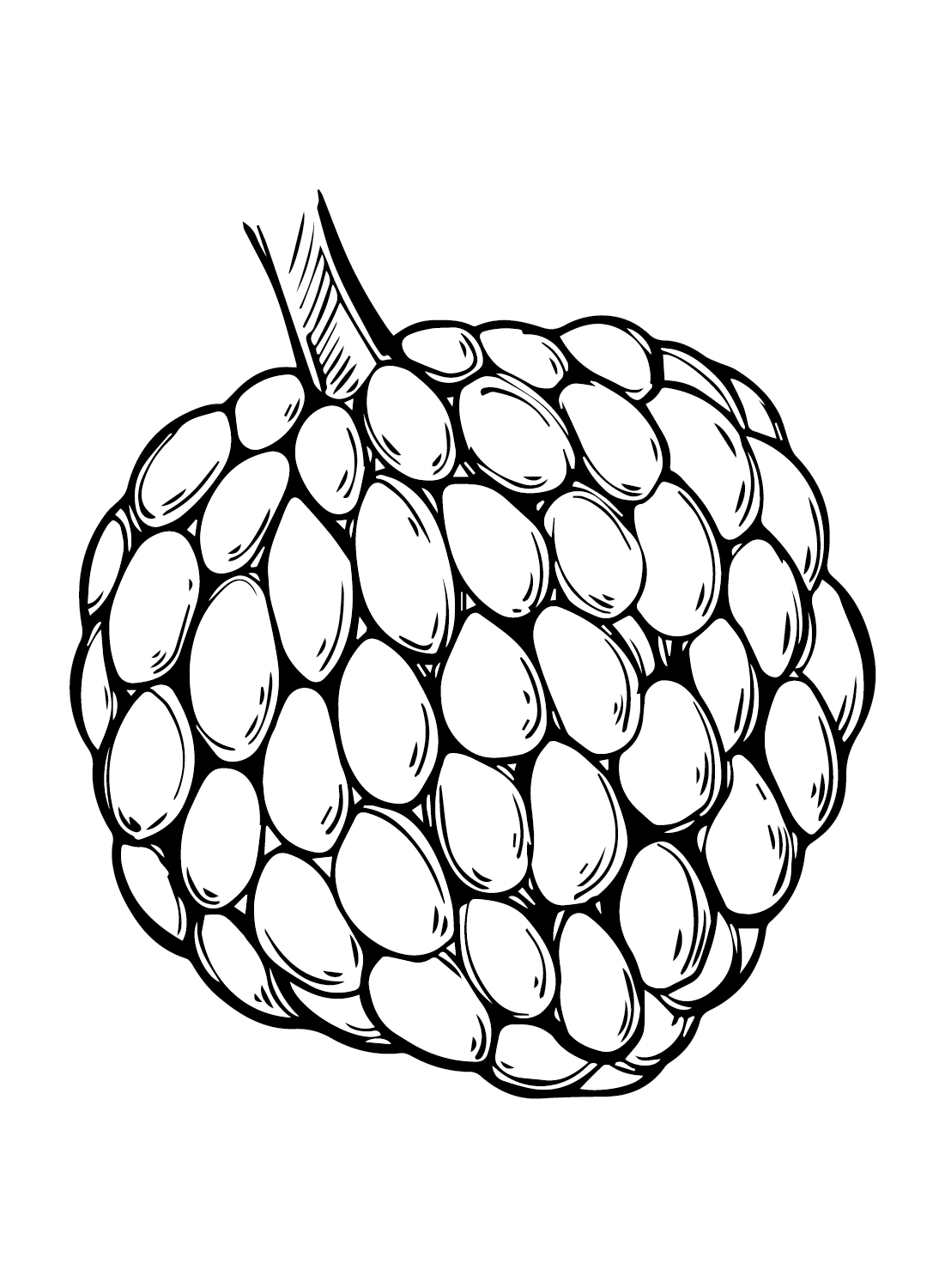 custard-apple-for-kids-coloring-page-free-printable-coloring-pages