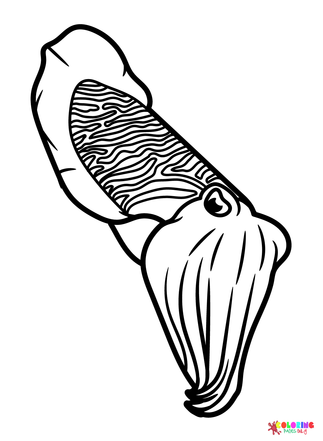 Cuttlefish Images Coloring Page