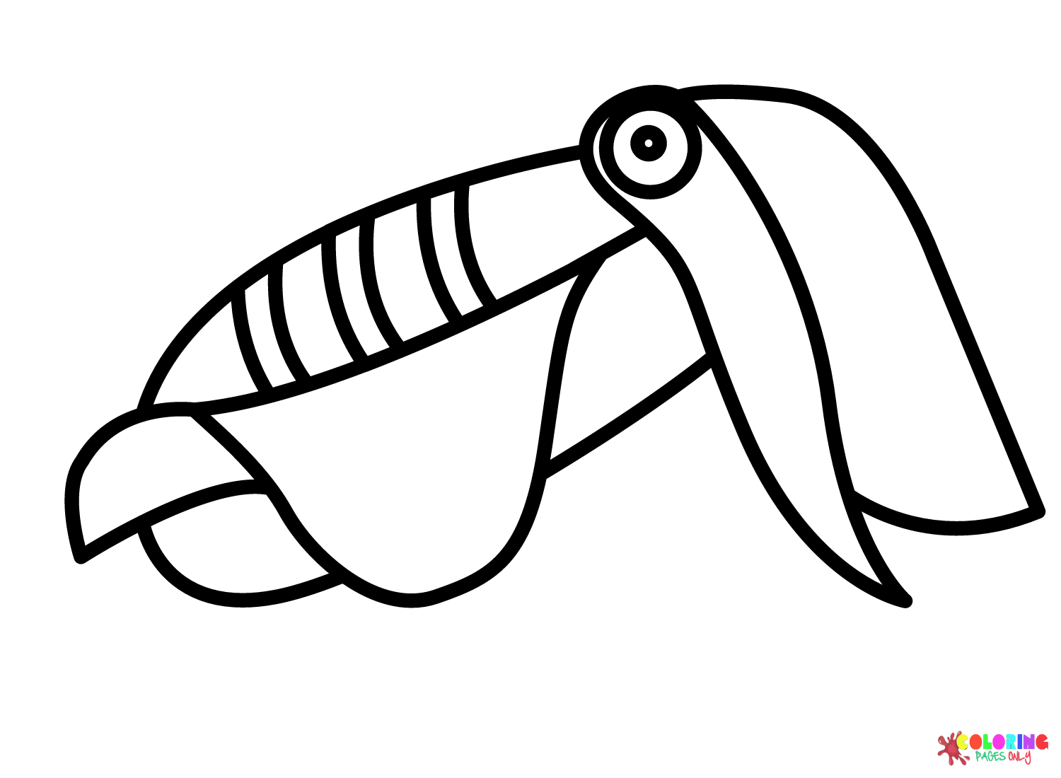Cuttlefish for Kids Coloring Page