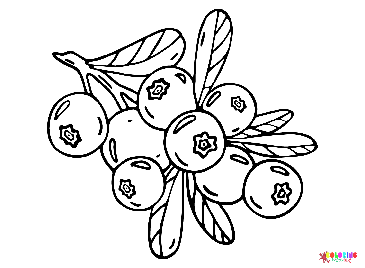 Doodle Blueberry Coloring Page
