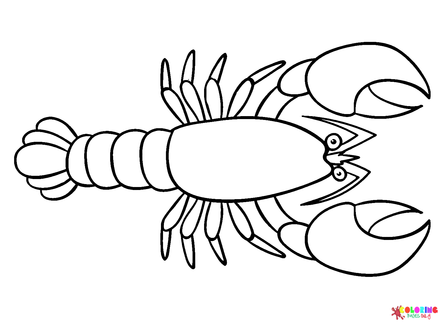 Draw Lobster Coloring Page