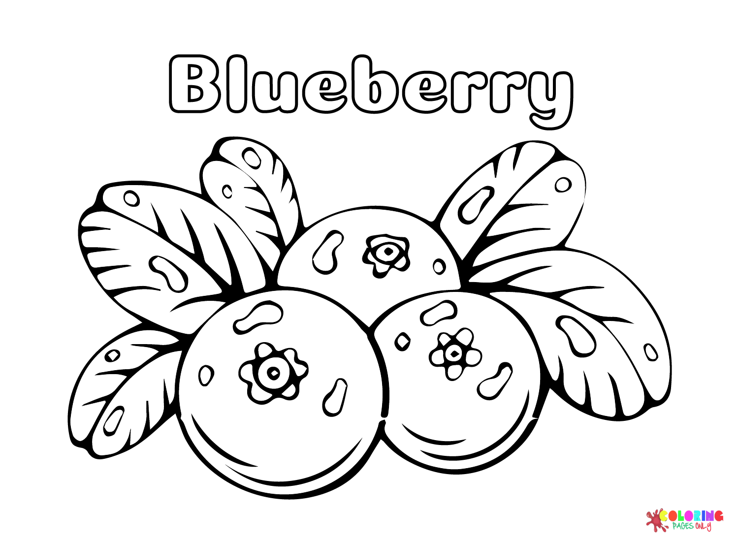 Drawing Blueberry Coloring Page