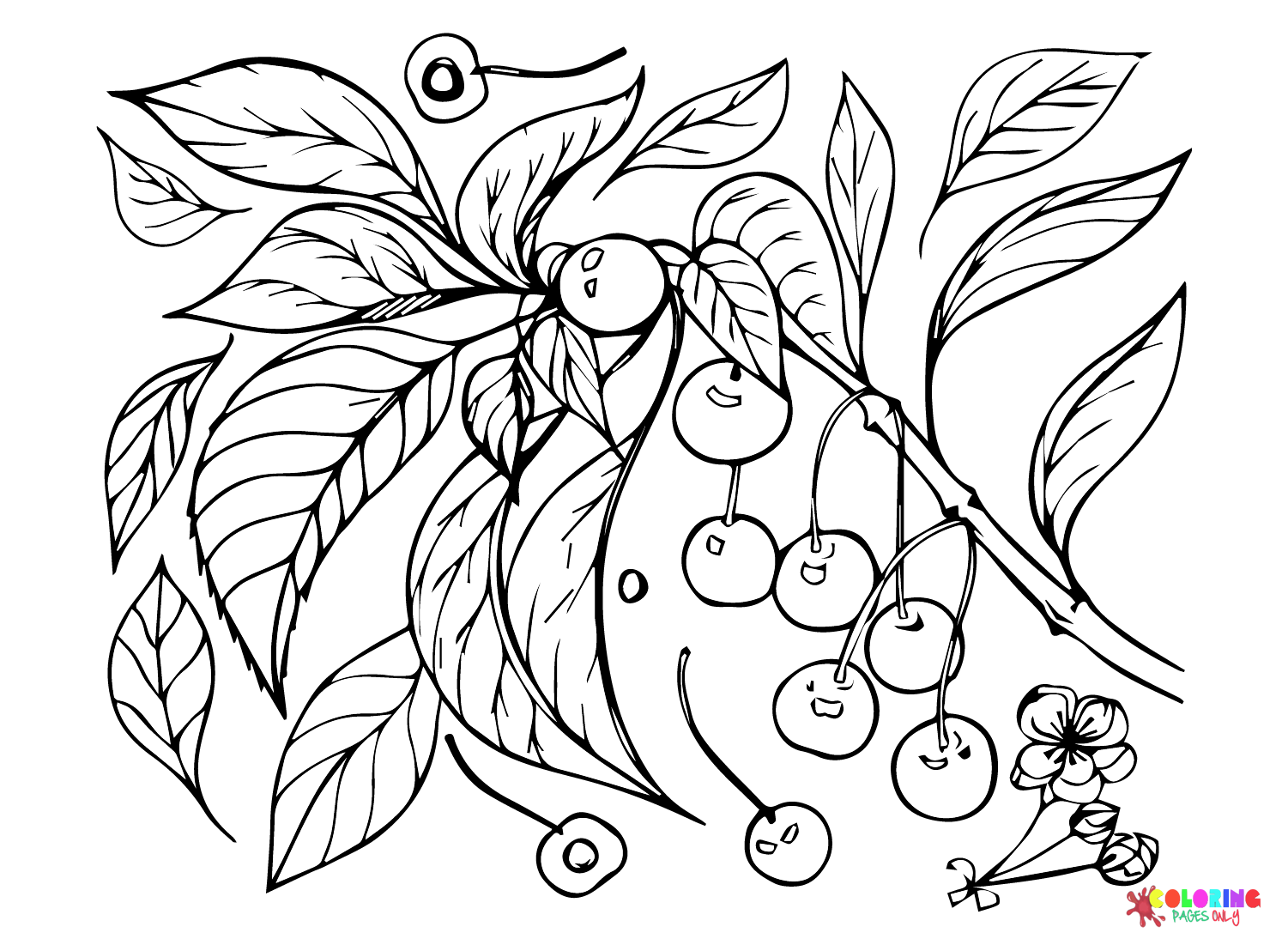 Drawing Cherry Coloring Page