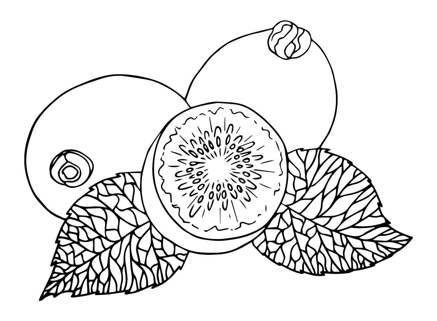 Drawing Kiwi Fruit Coloring Page