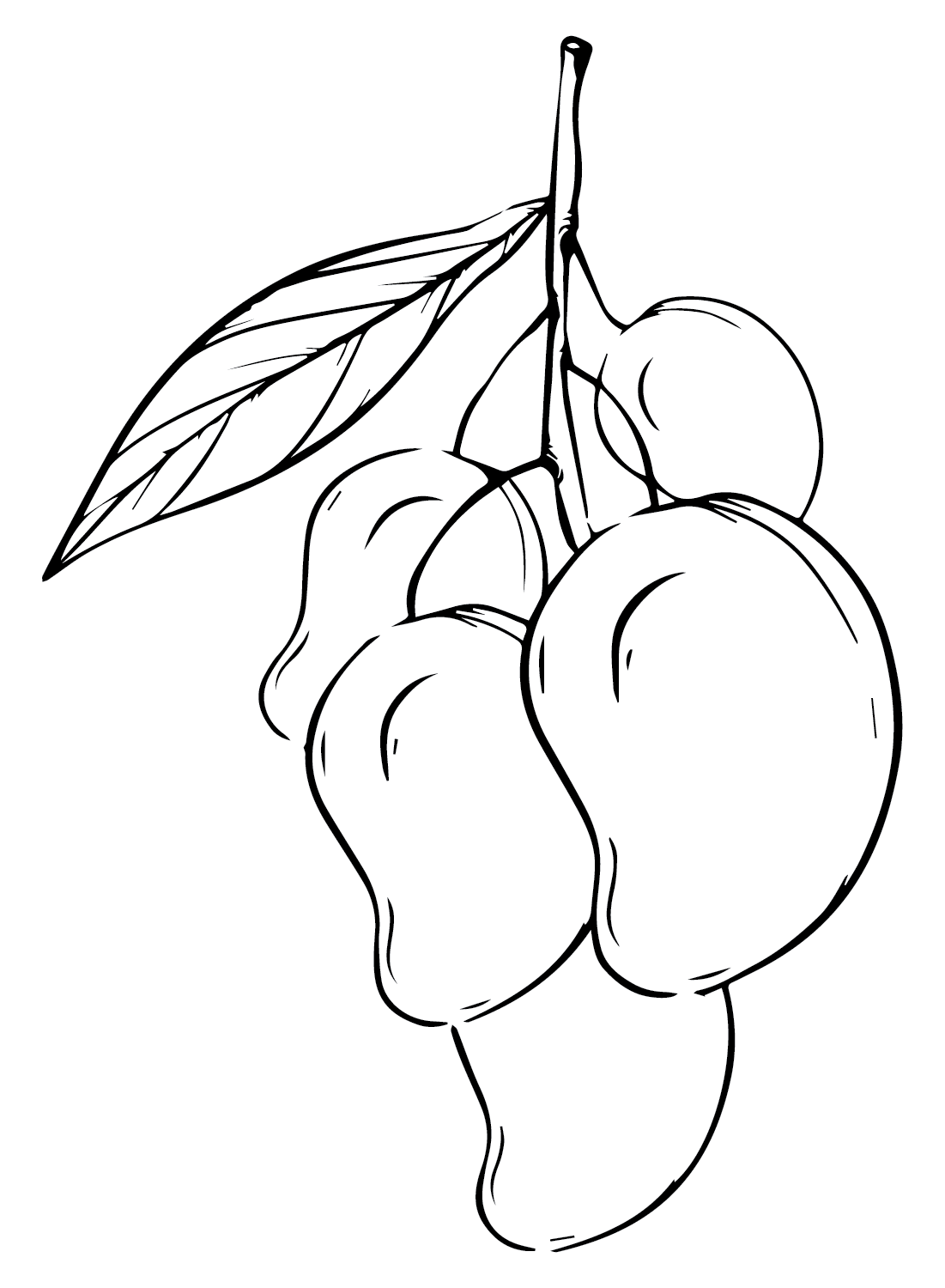 Drawing Mango from Mango