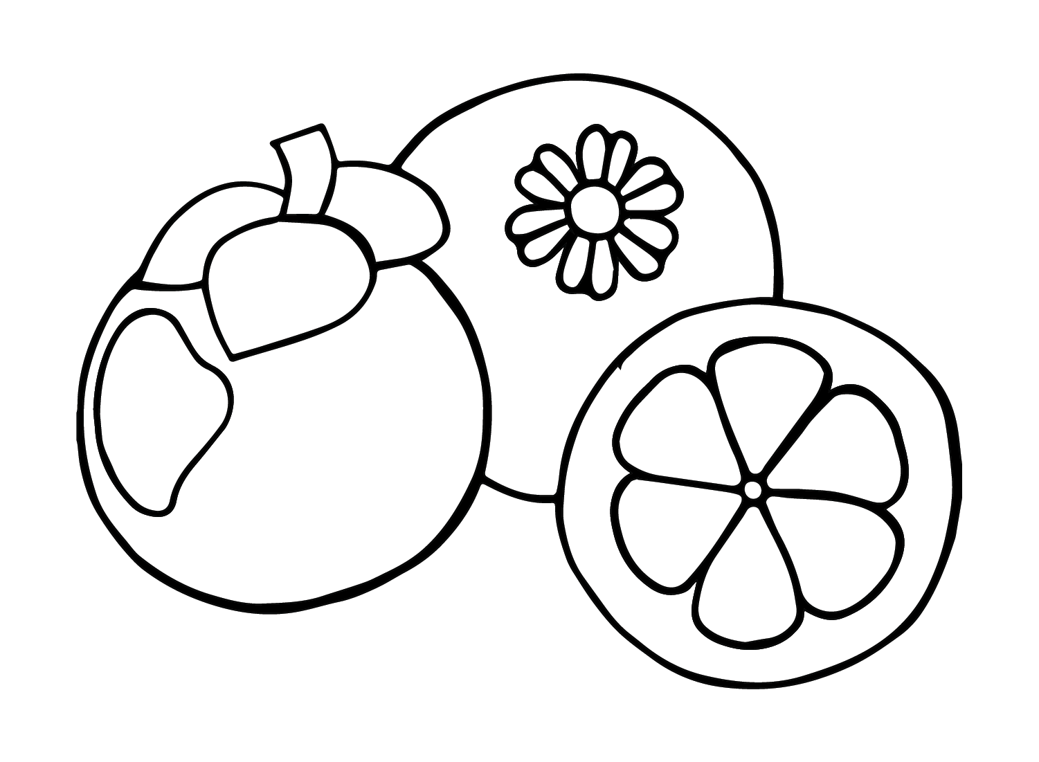 Desenhando Mangostão de Mangostão