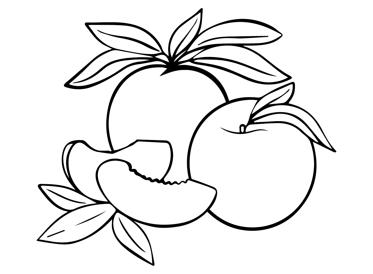 Drawing Peaches from Peaches