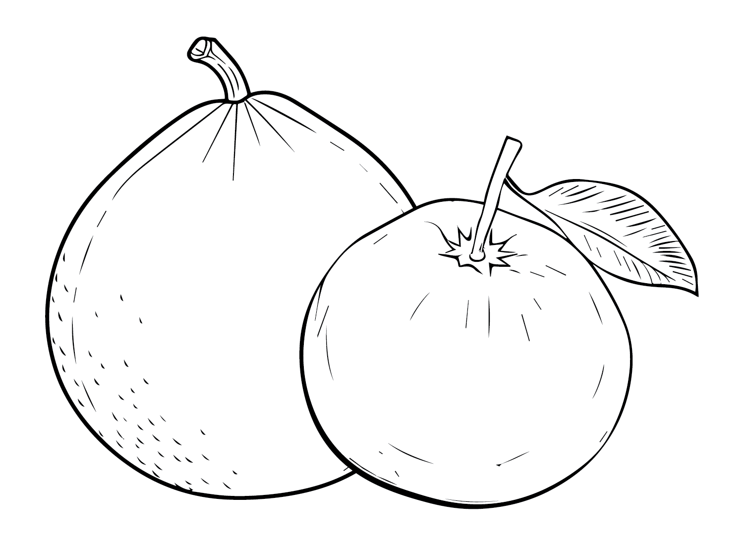 Desenhando Pomelo de Pomelo