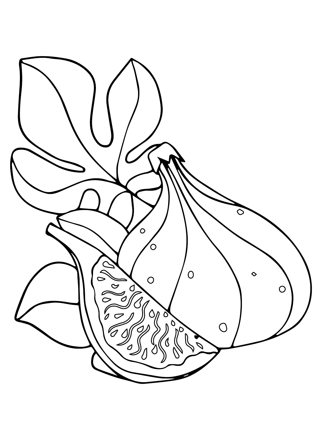 Figs Fruit Coloring Page