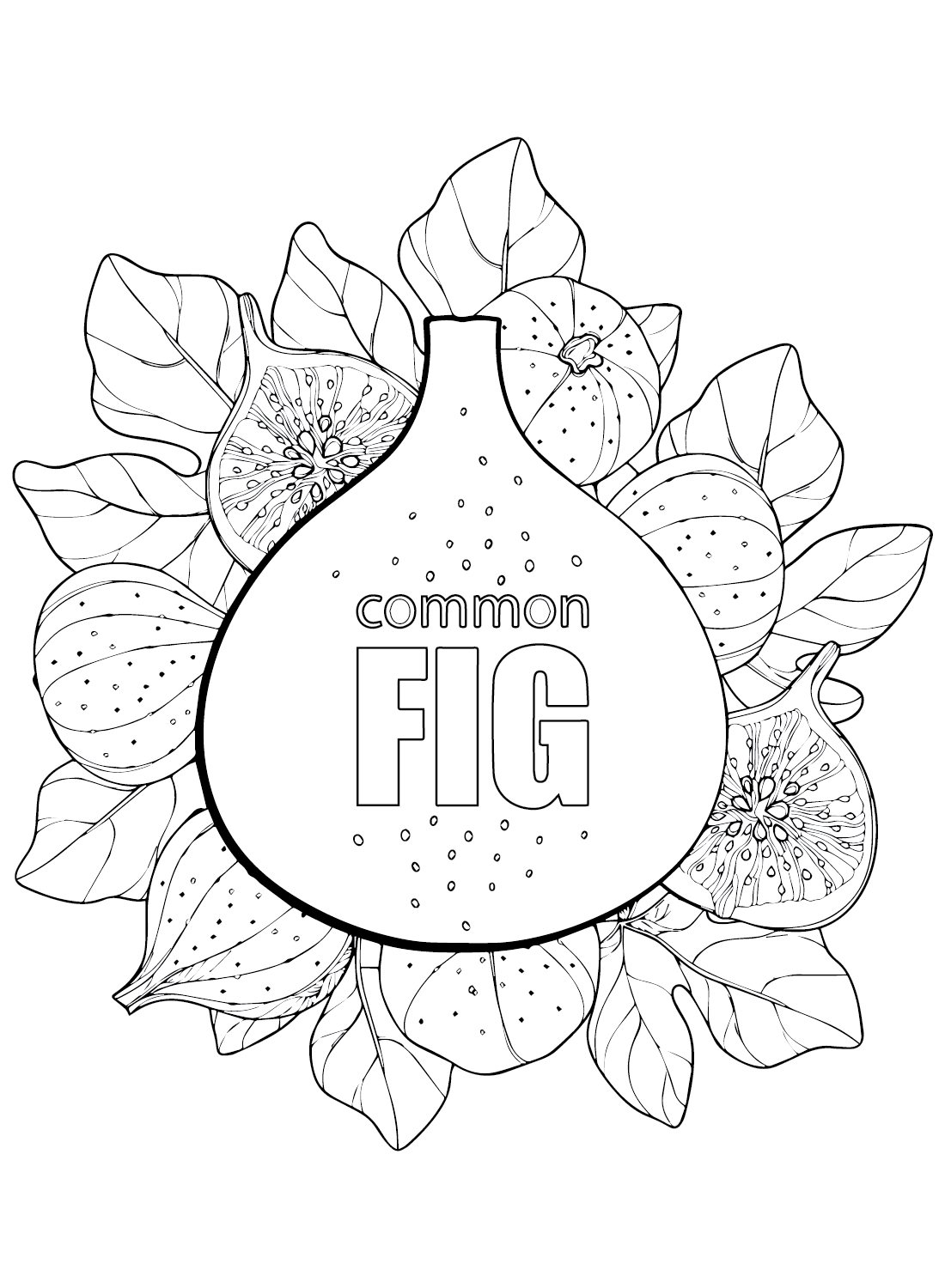 Figs Pictures Coloring Page