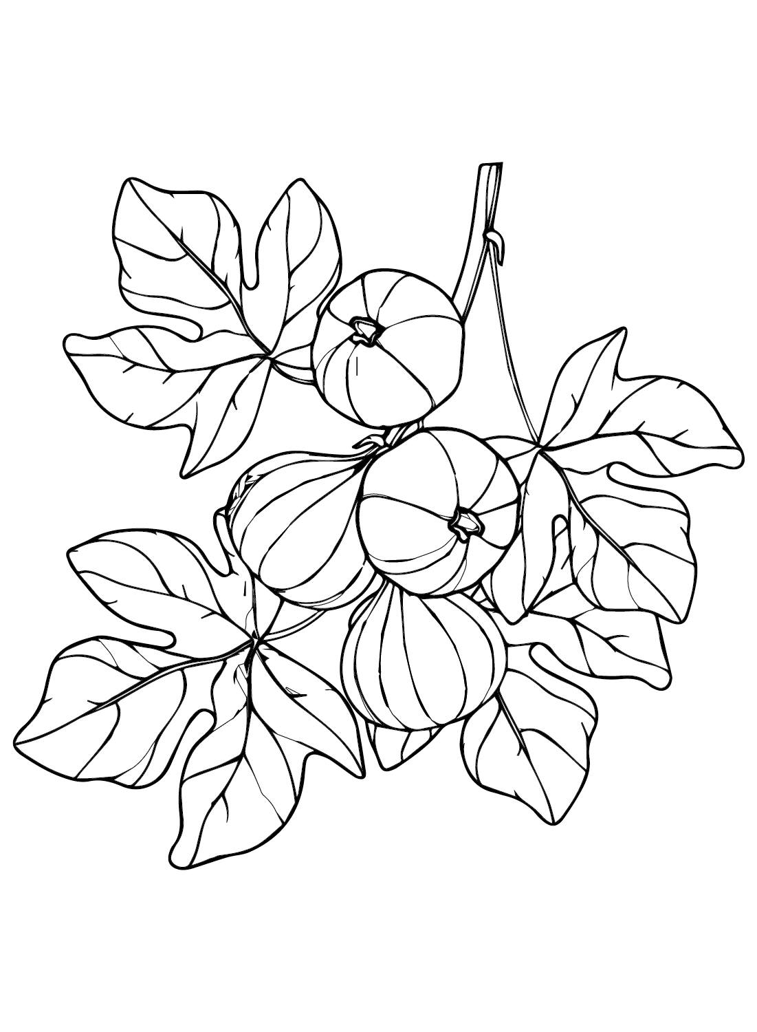 Figs Tree Coloring Page