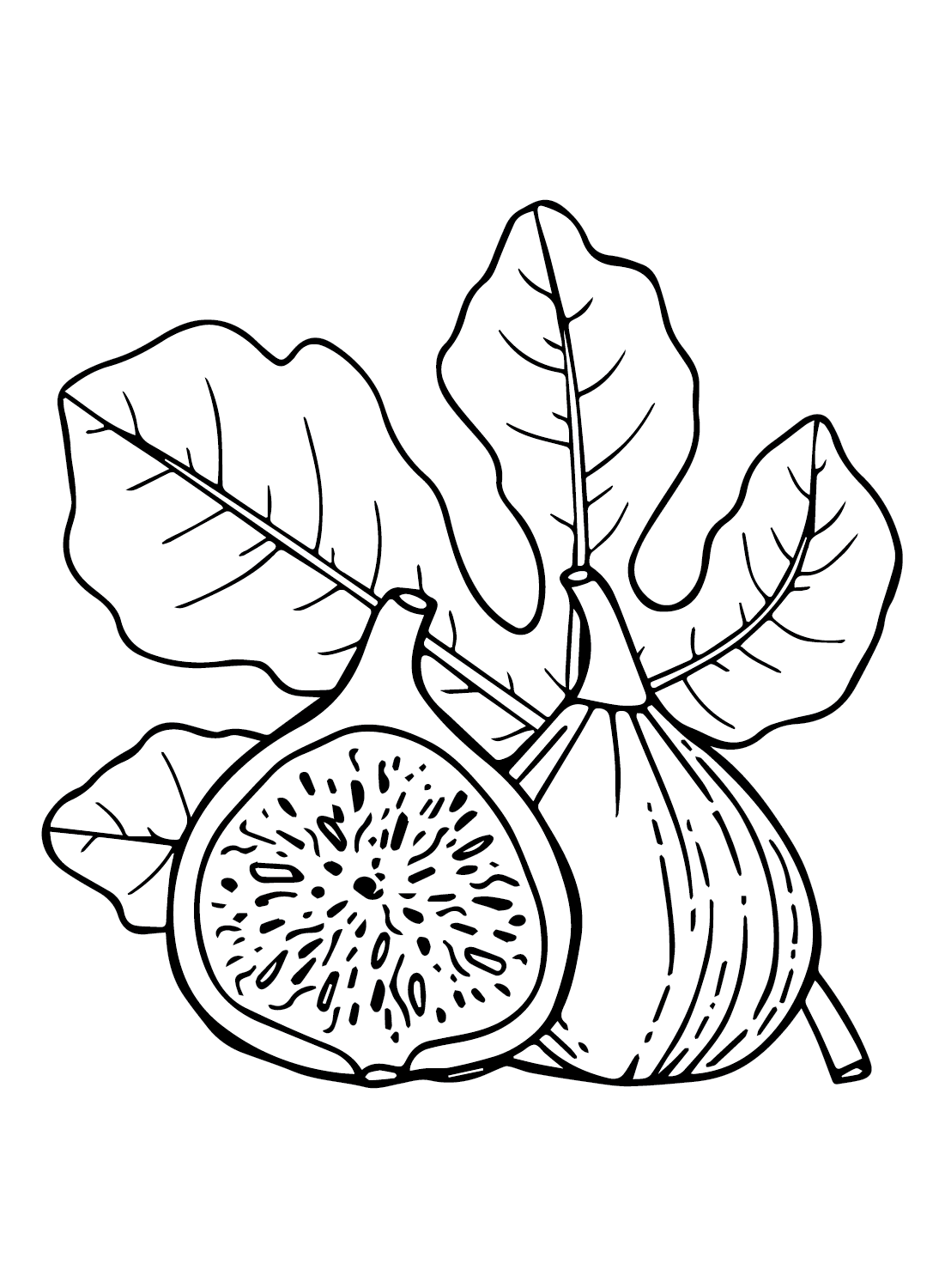 Figs color Sheets Coloring Page