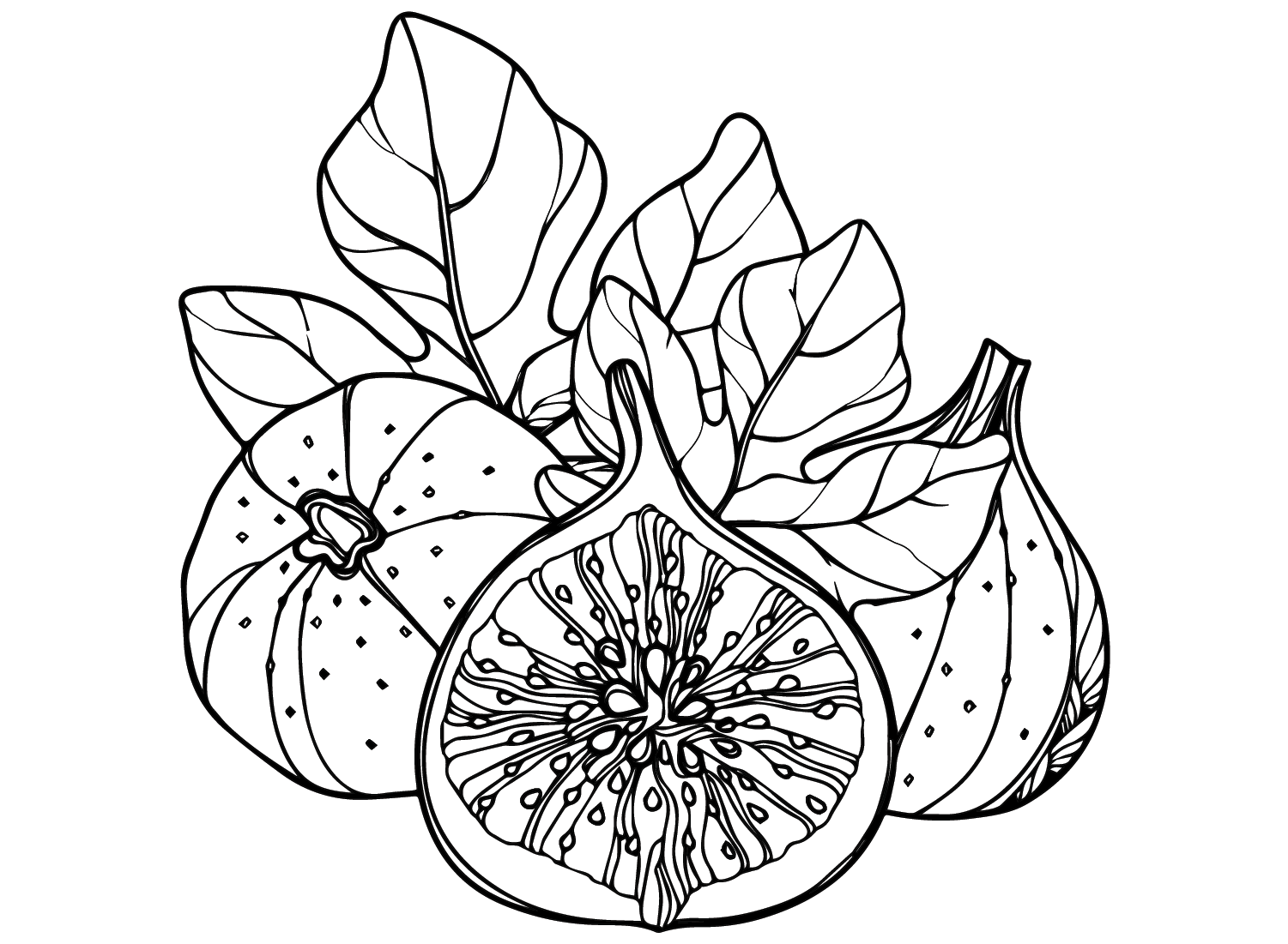 Figs for Kids Coloring Page