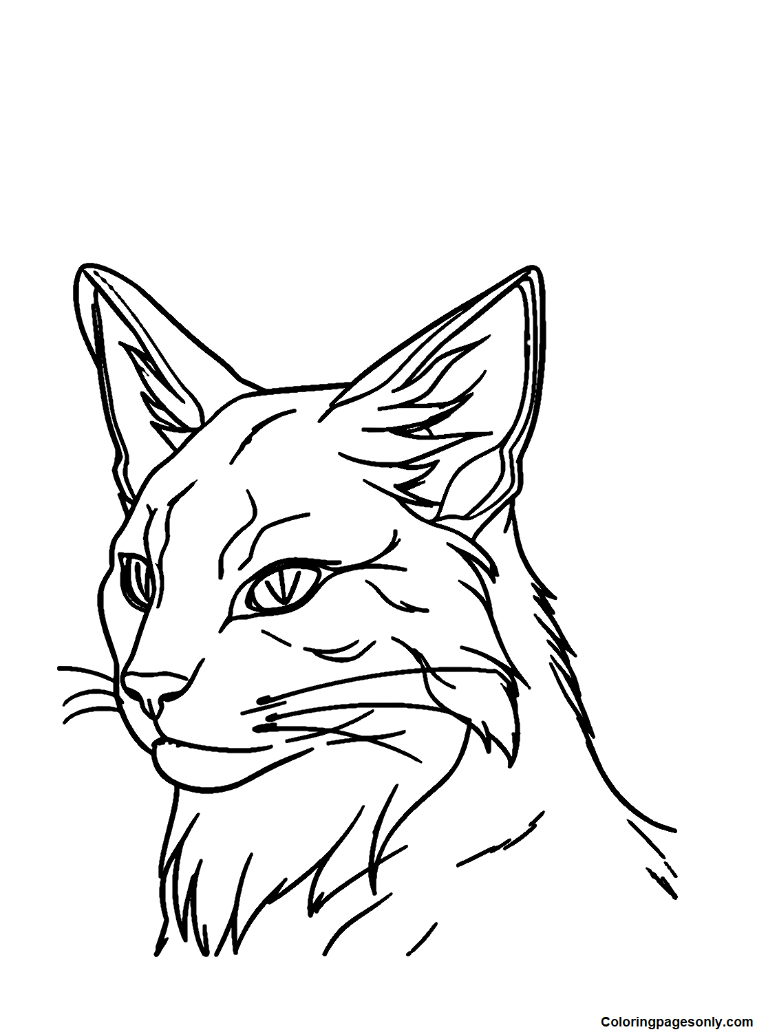 Firestar Warrior Cats Coloring Pages