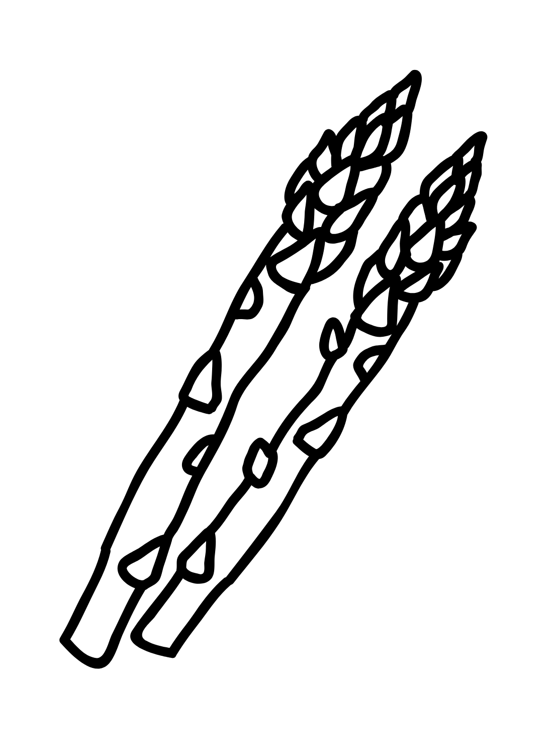 Free Asparagus Images Coloring Page