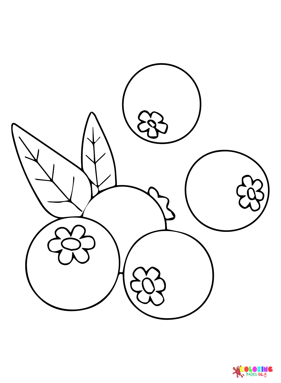 Free Blueberry Coloring Page