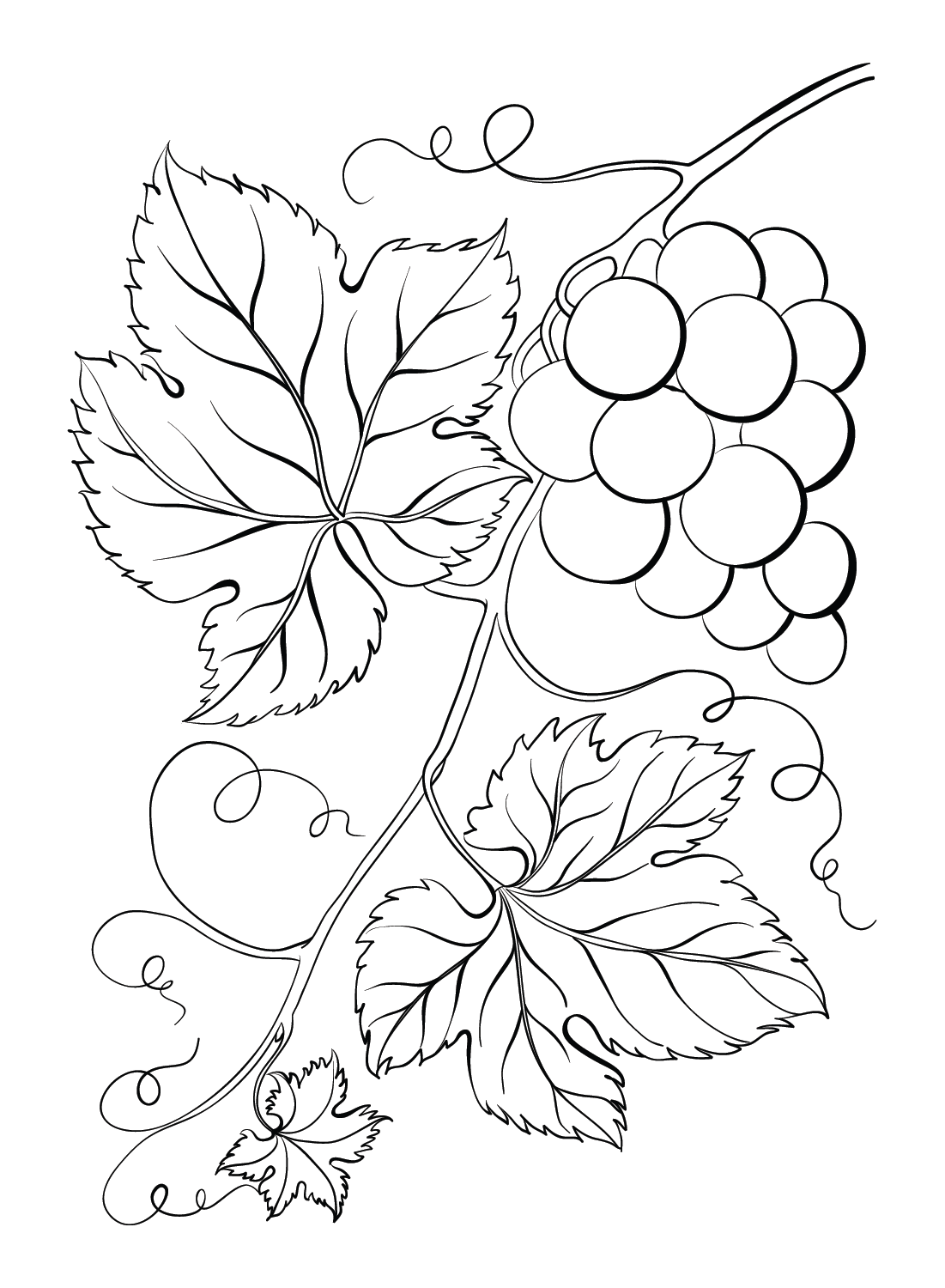 Free Grapes Coloring Page