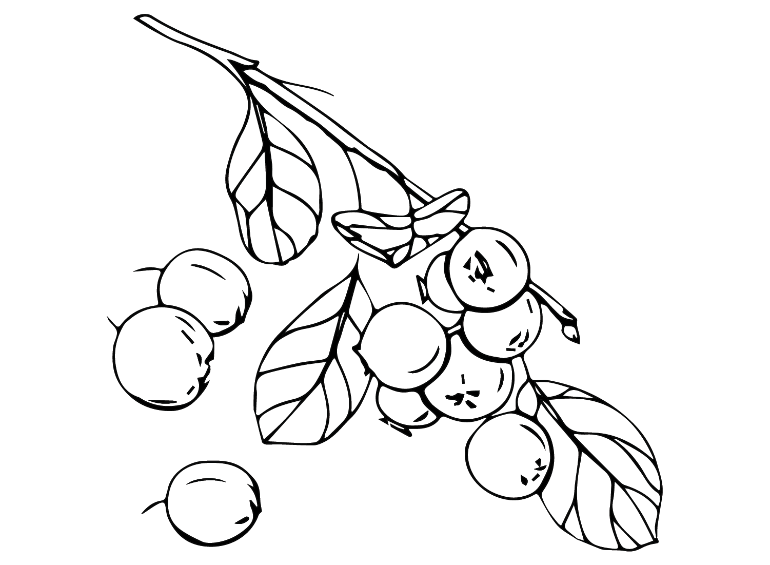 Free Huckleberry Coloring Page