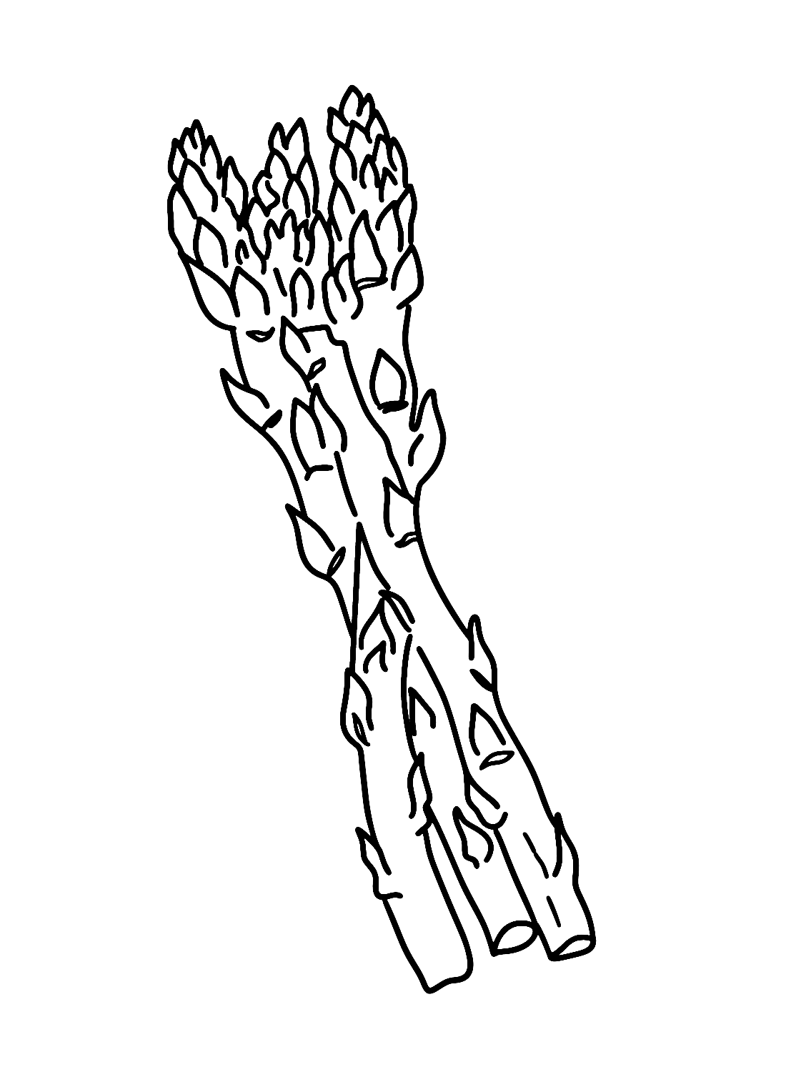 Free Printable Asparagus Coloring Page
