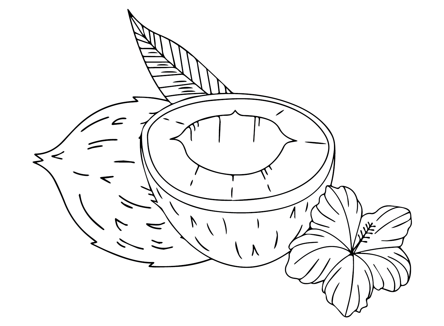 Free Printable Coconut Coloring Page