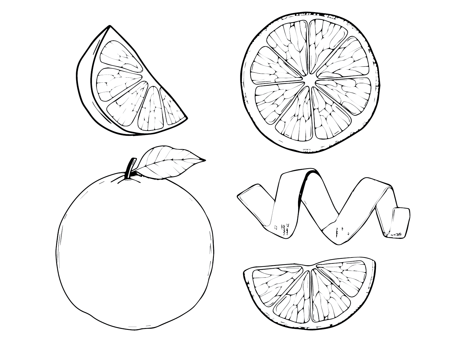 Free Printable Grapefruit Coloring Page