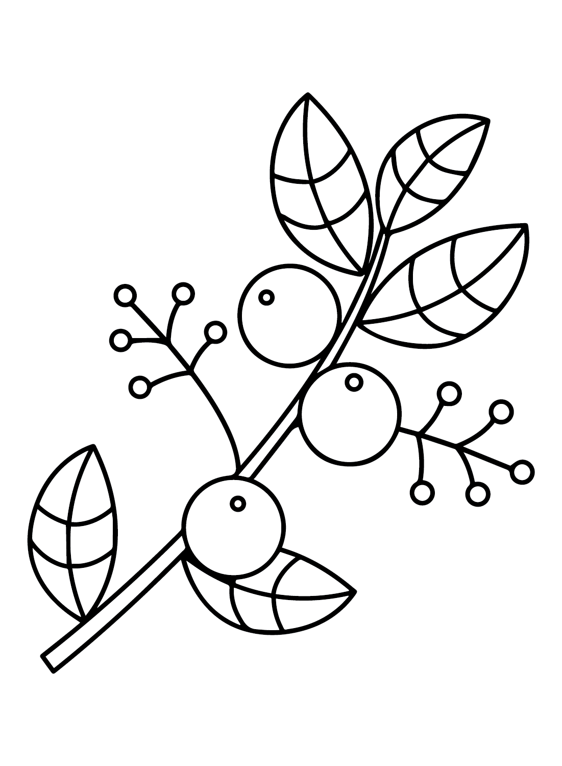 Free Printable Huckleberry from Huckleberry