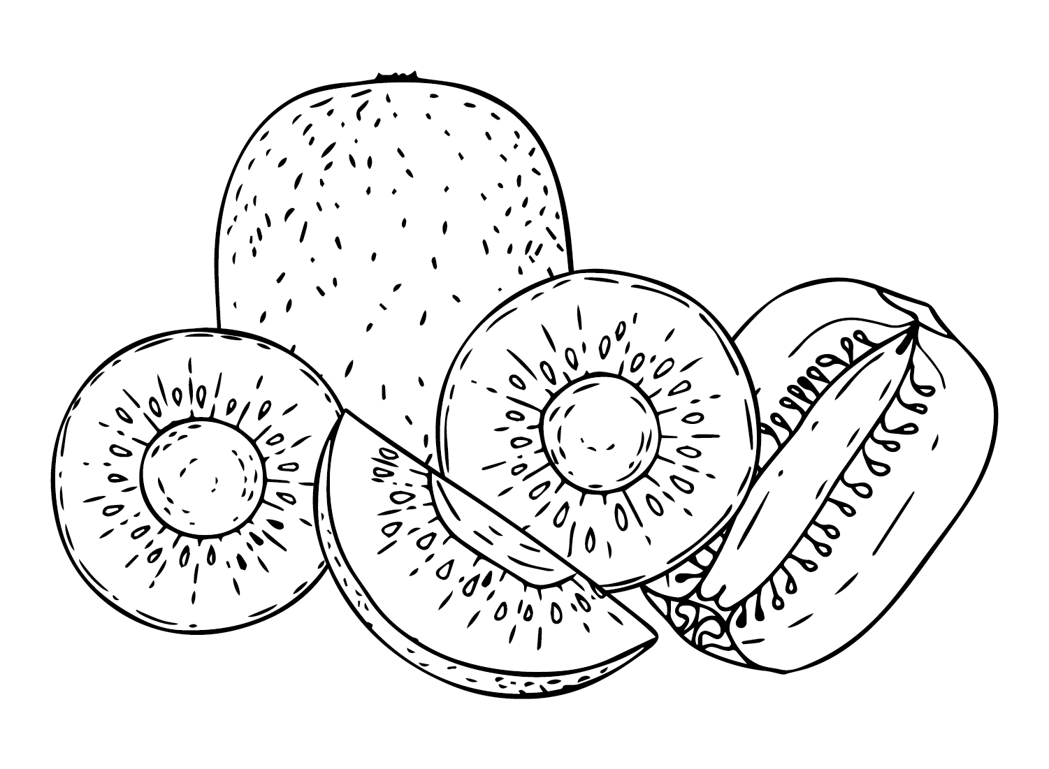 Kiwi para imprimir gratis de Kiwi Fruit