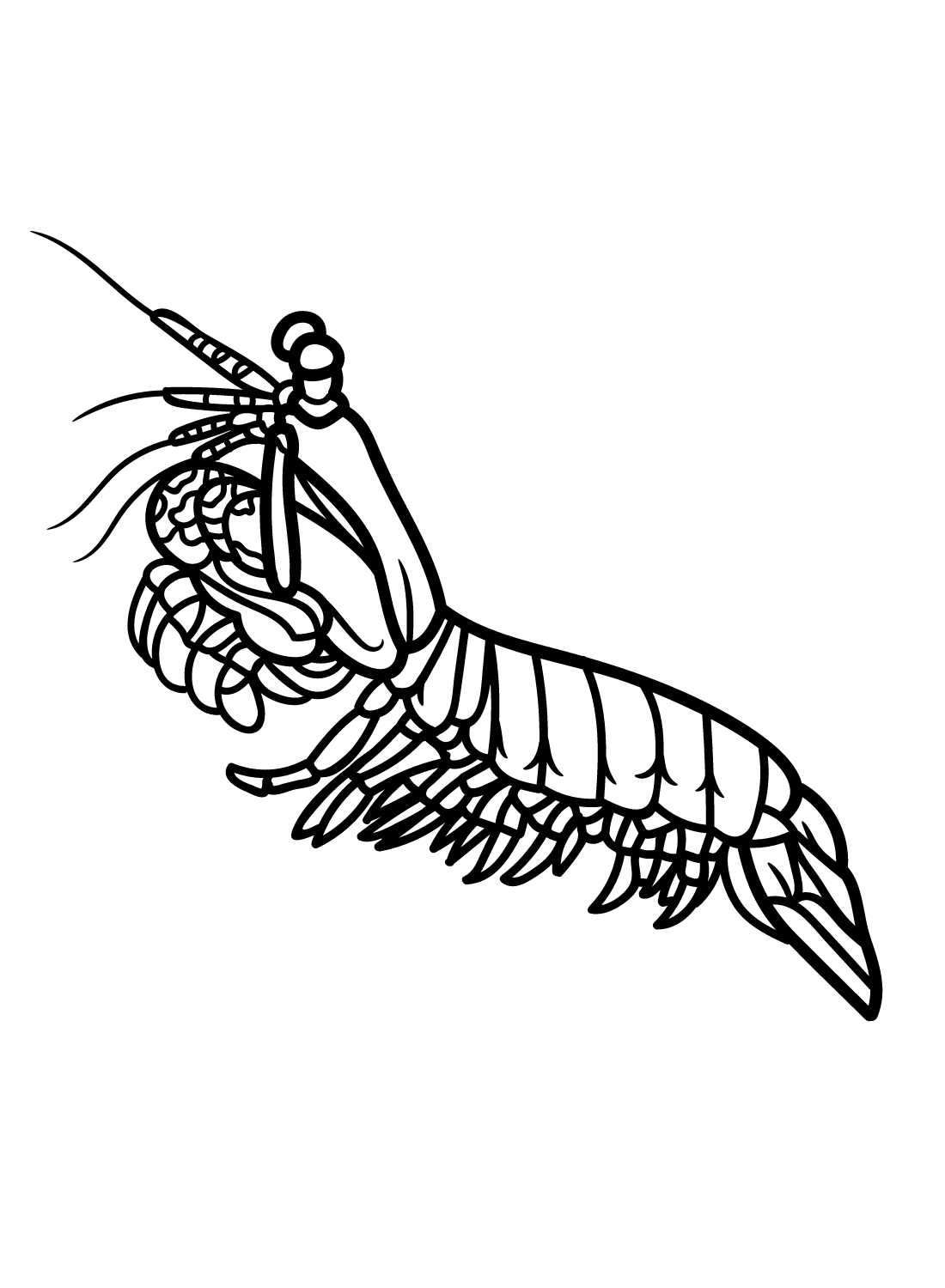 Free Printable Mantis Shrimp Coloring Page