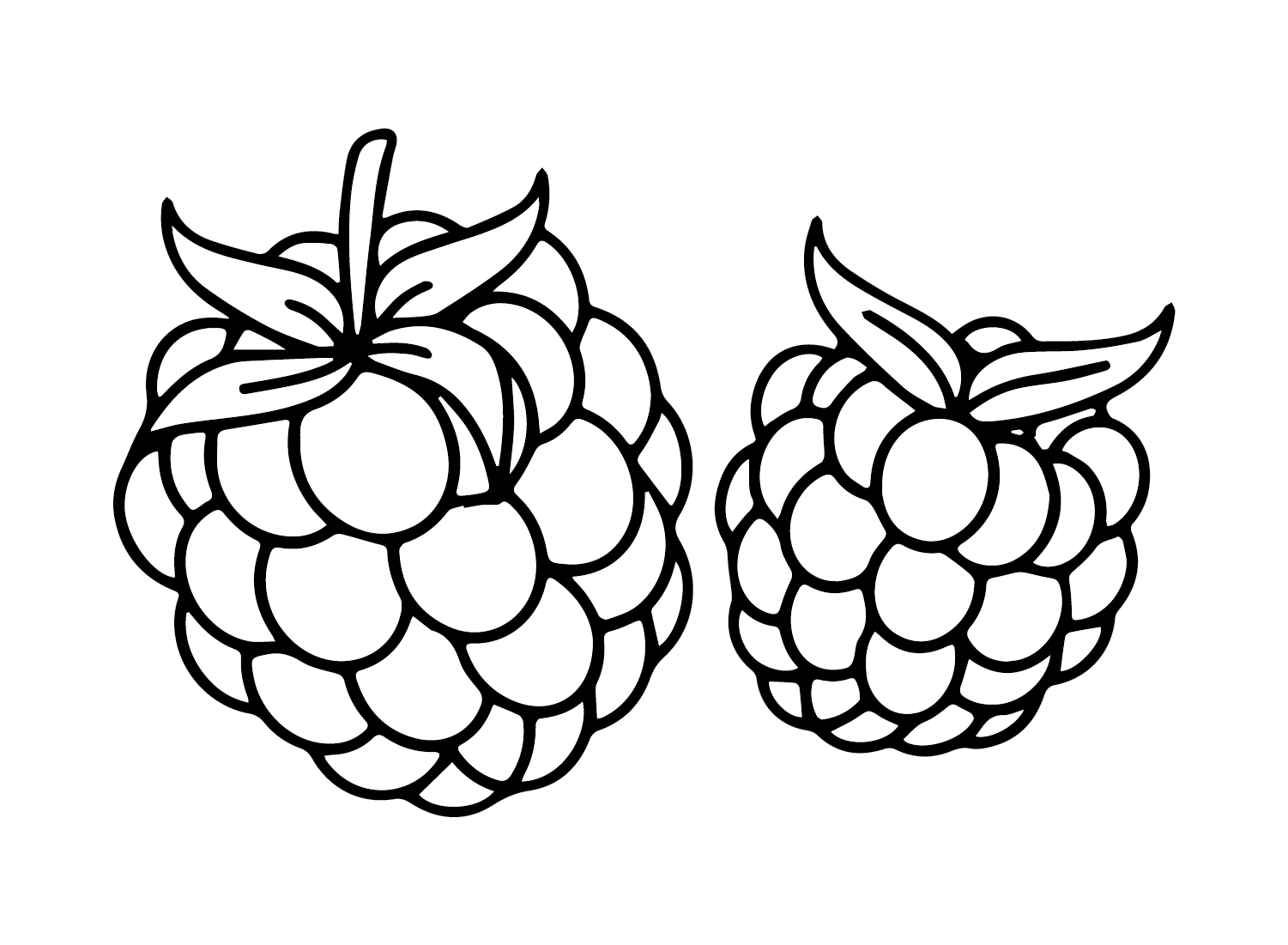 Gratis afdrukbare framboos van Raspberry