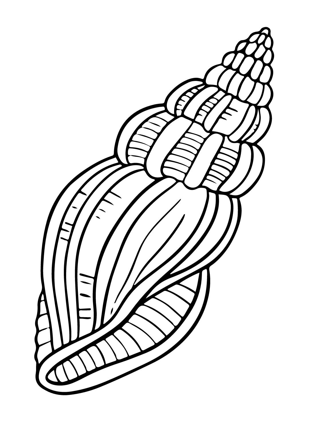 Free Sea Snail Coloring Page