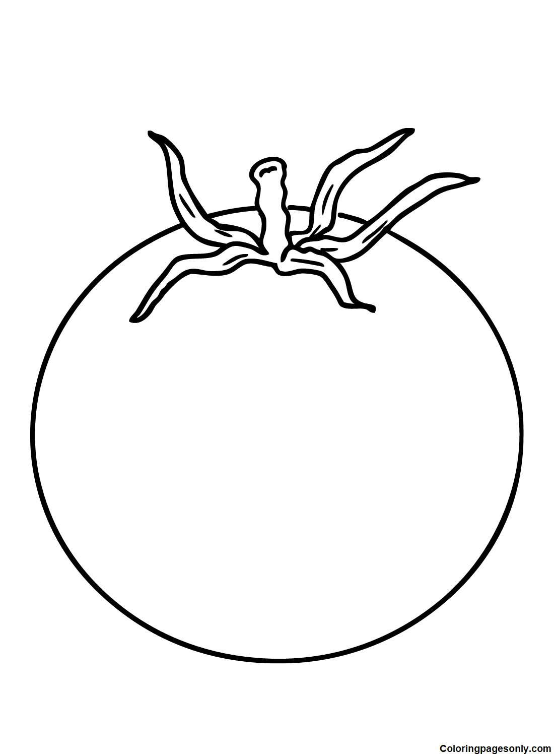 Free Tomato Coloring Page