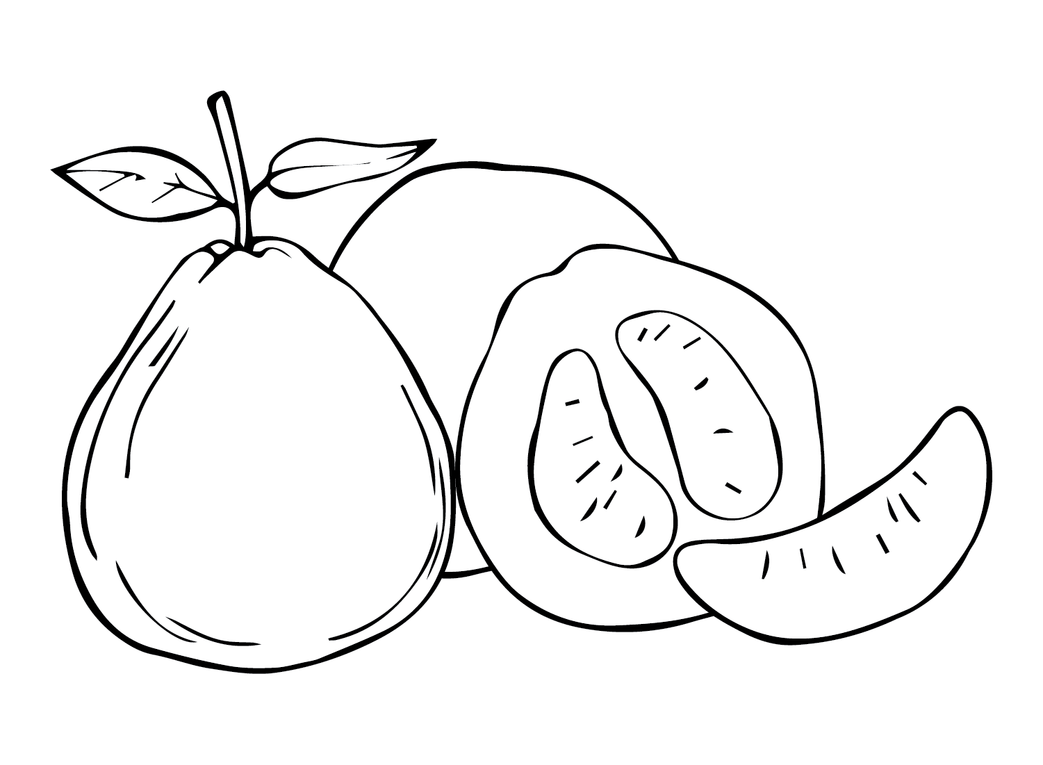 Fruit Pomelo Coloring Page
